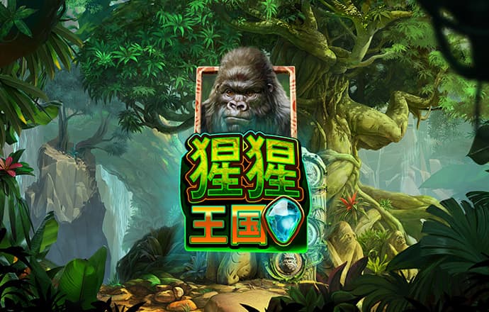 147体育直播NBAjrs